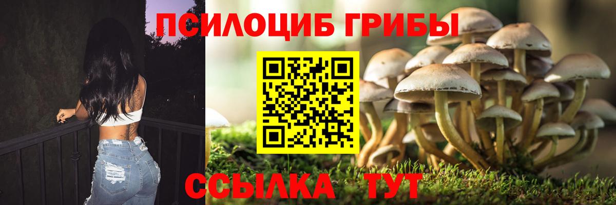 Псилоцибиновые грибы мухоморы  Вход с VPN  закладка  Мурманск  Галлюциногенные грибы прущие грибы 
